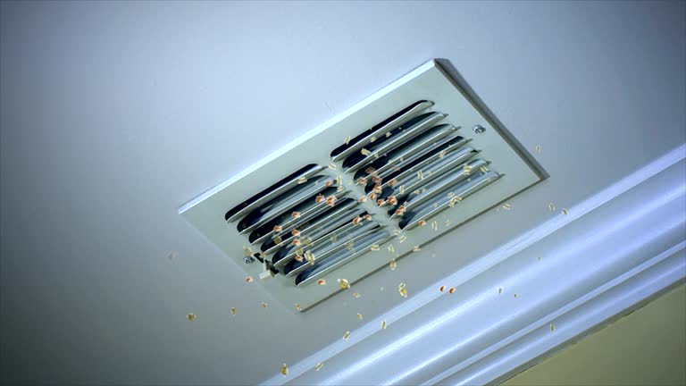 Best Air Duct Cleaning Near Me  in Alvarado, TX