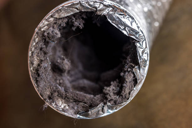 Best Local Air Duct Cleaning Services  in Alvarado, TX